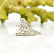 READY TO SHIP Lemon Shark Tooth Pendant - 925 Sterling Silver FJD$