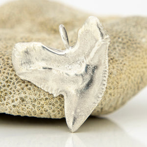 READY TO SHIP Tiger Shark Tooth Pendant - 925 Sterling Silver FJD$
