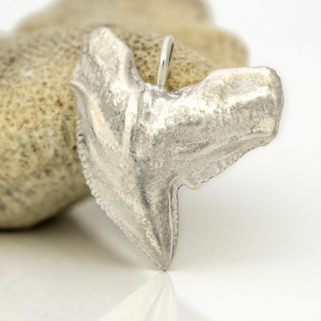 READY TO SHIP Tiger Shark Tooth Pendant - 925 Sterling Silver FJD$