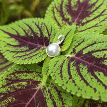 Load image into Gallery viewer, READY TO SHIP Civa Fiji Bezel Set Pearl Pendant - 925 Sterling Silver FJD$
