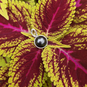 READY TO SHIP Civa Fiji Bezel Set Pearl Pendant - 925 Sterling Silver FJD$