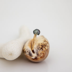 READY TO SHIP - Fiji Keshi Pearl Ring - 14k Gold Fill FJD$