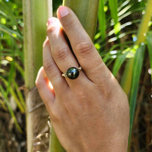READY TO SHIP Civa Fiji Saltwater Pearl Ring - 14k Gold Fill FJD$