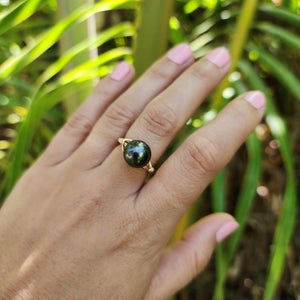 READY TO SHIP Civa Fiji Saltwater Pearl Ring - 14k Gold Fill FJD$