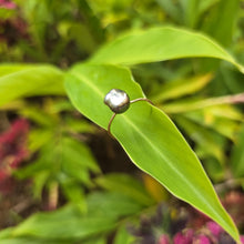 Load image into Gallery viewer, READY TO SHIP Fiji Keshi Pearl Ring - 14k Gold Fill FJD$
