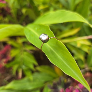 READY TO SHIP Fiji Keshi Pearl Ring - 14k Gold Fill FJD$