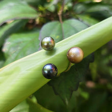 Load image into Gallery viewer, READY TO SHIP Civa Fiji Saltwater Pearl Trio Ring - 14k Gold Fill FJD$
