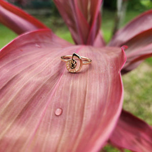 READY TO SHIP Mini Nautilus Ring - 9k Solid Gold FJD$