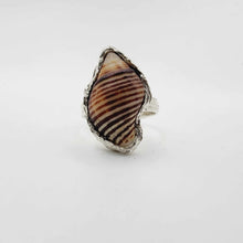 Load image into Gallery viewer, READY TO SHIP Free Flow Shell Ring - 925 Sterling Silver FJD$
