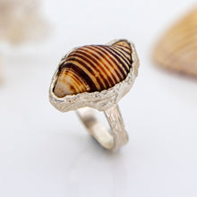 Load image into Gallery viewer, READY TO SHIP Free Flow Shell Ring - 925 Sterling Silver FJD$
