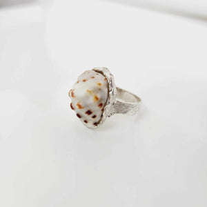 READY TO SHIP Free Flow Shell Ring - 925 Sterling Silver FJD$