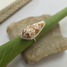 Load image into Gallery viewer, READY TO SHIP Bezel Set Shell Ring - 925 Sterling Silver FJD$
