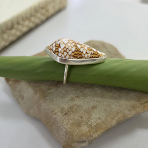 READY TO SHIP Bezel Set Shell Ring - 925 Sterling Silver FJD$