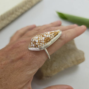 READY TO SHIP Bezel Set Shell Ring - 925 Sterling Silver FJD$
