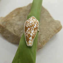 Load image into Gallery viewer, READY TO SHIP Bezel Set Shell Ring - 925 Sterling Silver FJD$
