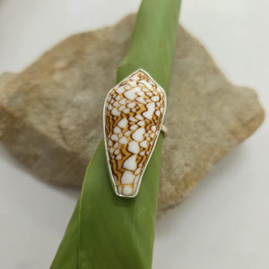 READY TO SHIP Bezel Set Shell Ring - 925 Sterling Silver FJD$