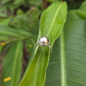 READY TO SHIP Civa Fiji Bezel Set Pearl Ring - 925 Sterling Silver FJD$