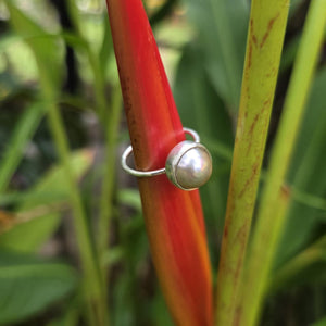 READY TO SHIP Civa Fiji Bezel Set Pearl Ring - 925 Sterling Silver FJD$