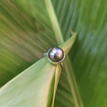 Load image into Gallery viewer, READY TO SHIP Civa Fiji Bezel Set Pearl Ring - 925 Sterling Silver FJD$
