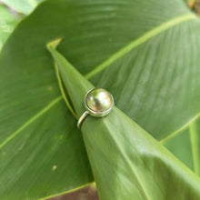 Load image into Gallery viewer, READY TO SHIP Civa Fiji Bezel Set Pearl Ring - 925 Sterling Silver FJD$
