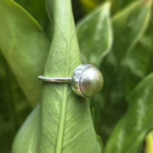Load image into Gallery viewer, READY TO SHIP Civa Fiji Bezel Set Pearl Ring - 925 Sterling Silver FJD$
