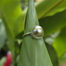 Load image into Gallery viewer, READY TO SHIP Civa Fiji Bezel Set Pearl Ring - 925 Sterling Silver FJD$
