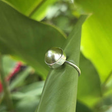 Load image into Gallery viewer, READY TO SHIP Civa Fiji Bezel Set Pearl Ring - 925 Sterling Silver FJD$
