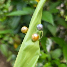 Load image into Gallery viewer, READY TO SHIP Civa Fiji Saltwater Pearl Trio Ring - 925 Sterling Silver FJD$
