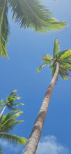 Load and play video in Gallery viewer, READY TO SHIP "Fiji Pineapple" Small Water-Resistant Pouch - FJD$
