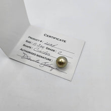 Load image into Gallery viewer, READY TO SHIP Unisex Civa Fiji Pearl Bracelet with Grade Certificate #2024 - FJD$ - Adorn Pacific - All Products
