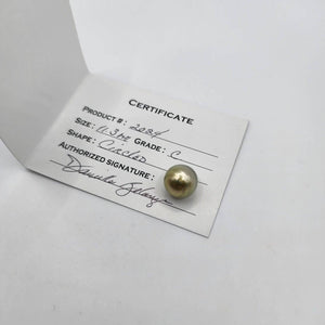 READY TO SHIP Unisex Civa Fiji Pearl Bracelet with Grade Certificate #2024 - FJD$ - Adorn Pacific - All Products