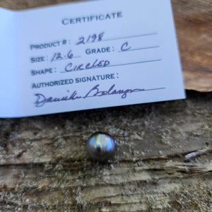 Civa Fiji Loose Saltwater Pearl with Grade Certificate #2198 - FJD$