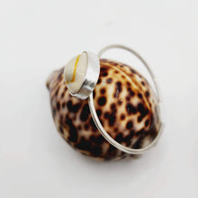 Load image into Gallery viewer, READY TO SHIP Bezel Set Shell Bangle Cuff - 925 Sterling Silver FJD$ - Adorn Pacific - All Products
