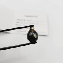 Load image into Gallery viewer, Civa Fiji Saltwater Pearl with Grade Certificate #2157 - FJD$ - Adorn Pacific - All Products
