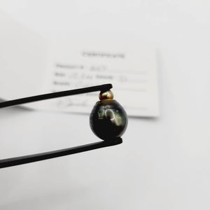 Civa Fiji Saltwater Pearl with Grade Certificate #2157 - FJD$ - Adorn Pacific - All Products