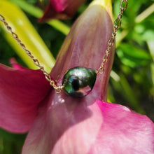 Load image into Gallery viewer, READY TO SHIP Civa Fiji Pearl Gold Necklace with Grade Certificate #2118 -FJD$ - Adorn Pacific - All Products
