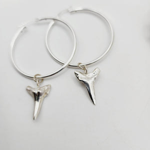 READY TO SHIP - Shark Tooth Earrings - 925 Sterling Silver FJD$ - Adorn Pacific - All Products