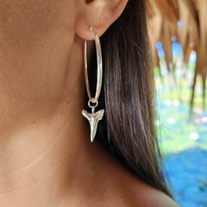 READY TO SHIP - Shark Tooth Earrings - 925 Sterling Silver FJD$