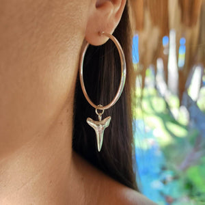 READY TO SHIP - Shark Tooth Earrings - 925 Sterling Silver FJD$