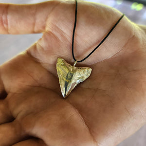 READY TO SHIP - Shark Tooth Necklace - 925 Sterling Silver & Nylon FJD$