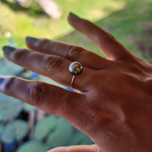 READY TO SHIP - Fiji Saltwater Pearl Ring - 14k Gold Fill FJD$ - Adorn Pacific - Rings