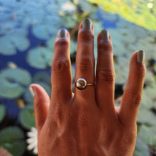 Load image into Gallery viewer, READY TO SHIP - Fiji Saltwater Pearl Ring - 14k Gold Fill FJD$ - Adorn Pacific - Rings
