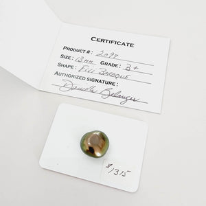 Civa Fiji Saltwater Pearl with Grade Certificate #2097 - FJD$ - Adorn Pacific - All Products