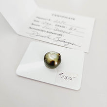 Load image into Gallery viewer, Civa Fiji Saltwater Pearl with Grade Certificate #2097 - FJD$ - Adorn Pacific - All Products
