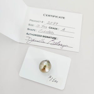 Civa Fiji Saltwater Pearl with Grade Certificate #2099 - FJD$ - Adorn Pacific - All Products