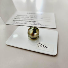 Load image into Gallery viewer, Civa Fiji Saltwater Pearl with Grade Certificate #2099 - FJD$ - Adorn Pacific - All Products
