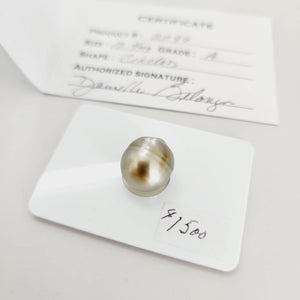Civa Fiji Saltwater Pearl with Grade Certificate #2099 - FJD$ - Adorn Pacific - All Products