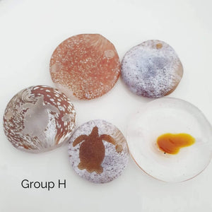 CONTACT US TO RECREATE THIS SOLD OUT STYLE Adorn Pacific x Hot Glass with Flower Shell Earrings - FJD$ - Adorn Pacific - Earrings