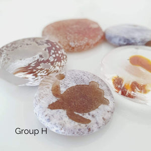 CONTACT US TO RECREATE THIS SOLD OUT STYLE Adorn Pacific x Hot Glass with Flower Shell Earrings - FJD$ - Adorn Pacific - Earrings