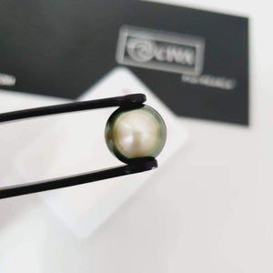 CONTACT US TO RECREATE THIS SOLD OUT STYLE Civa Fiji Saltwater Pearl with Grade Certificate (#0010) - FJD$ - Adorn Pacific - All Products